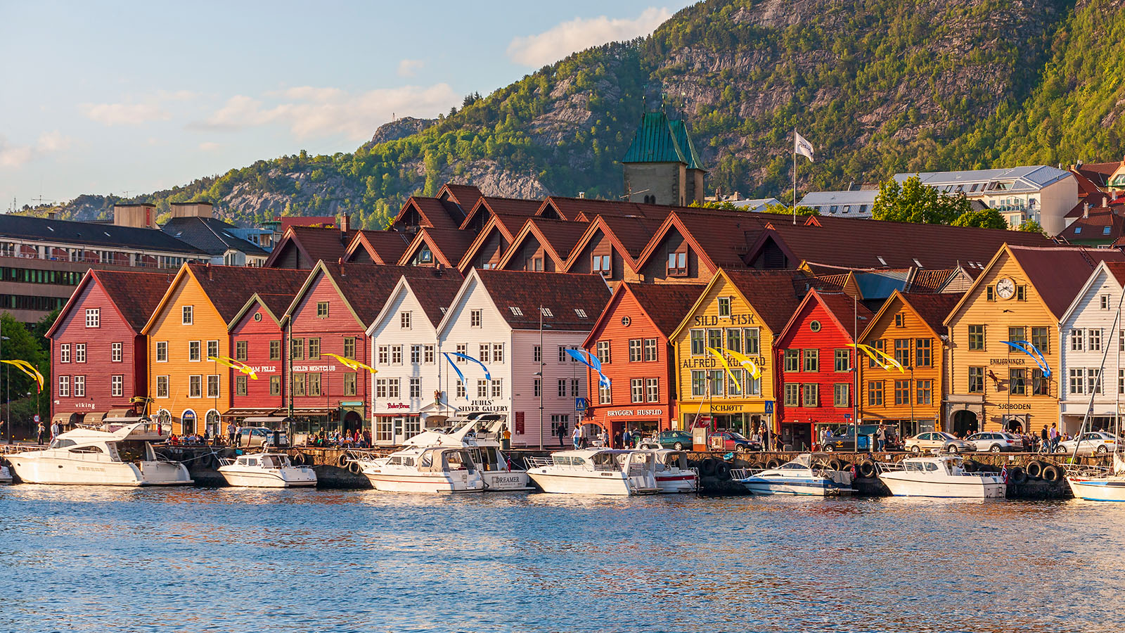 Bergensbanan med fjordkryssning p� vackra Osterfjorden