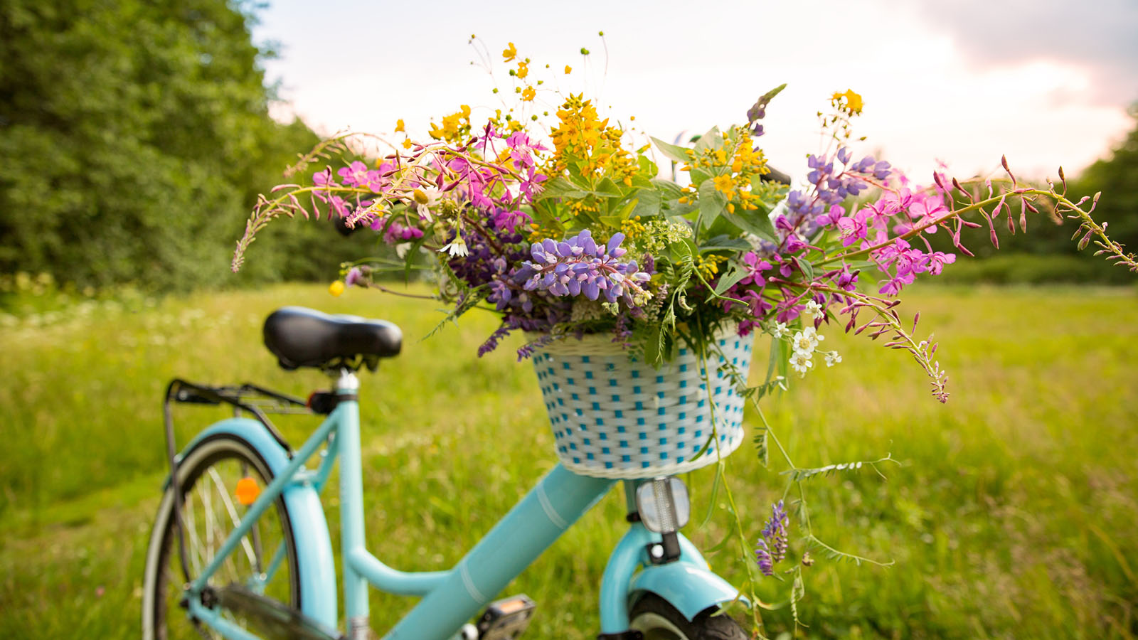 Lars Lerins Kabusa, Karl-Fredrik och Kivik