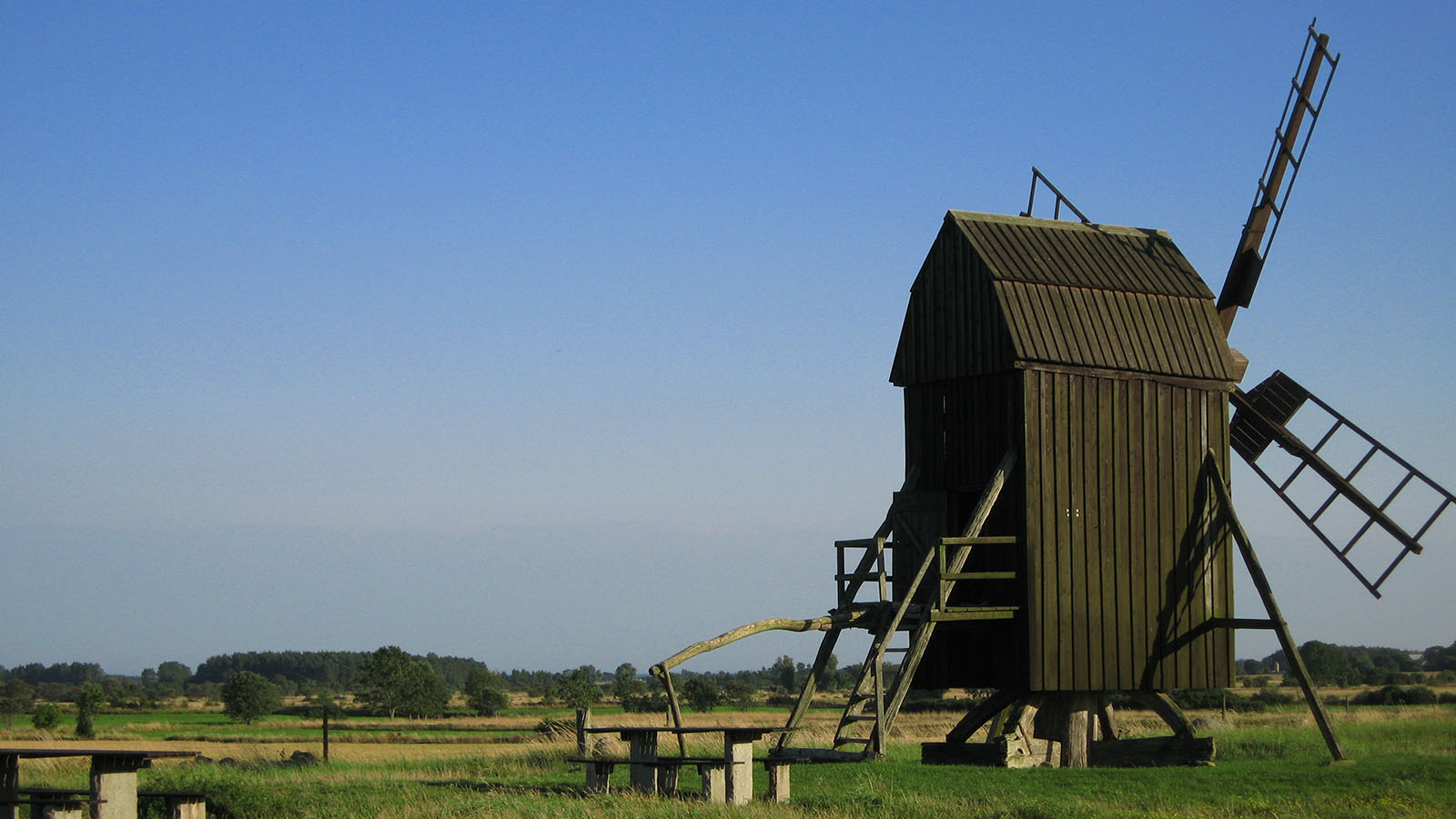 Orkidévandring på Öland